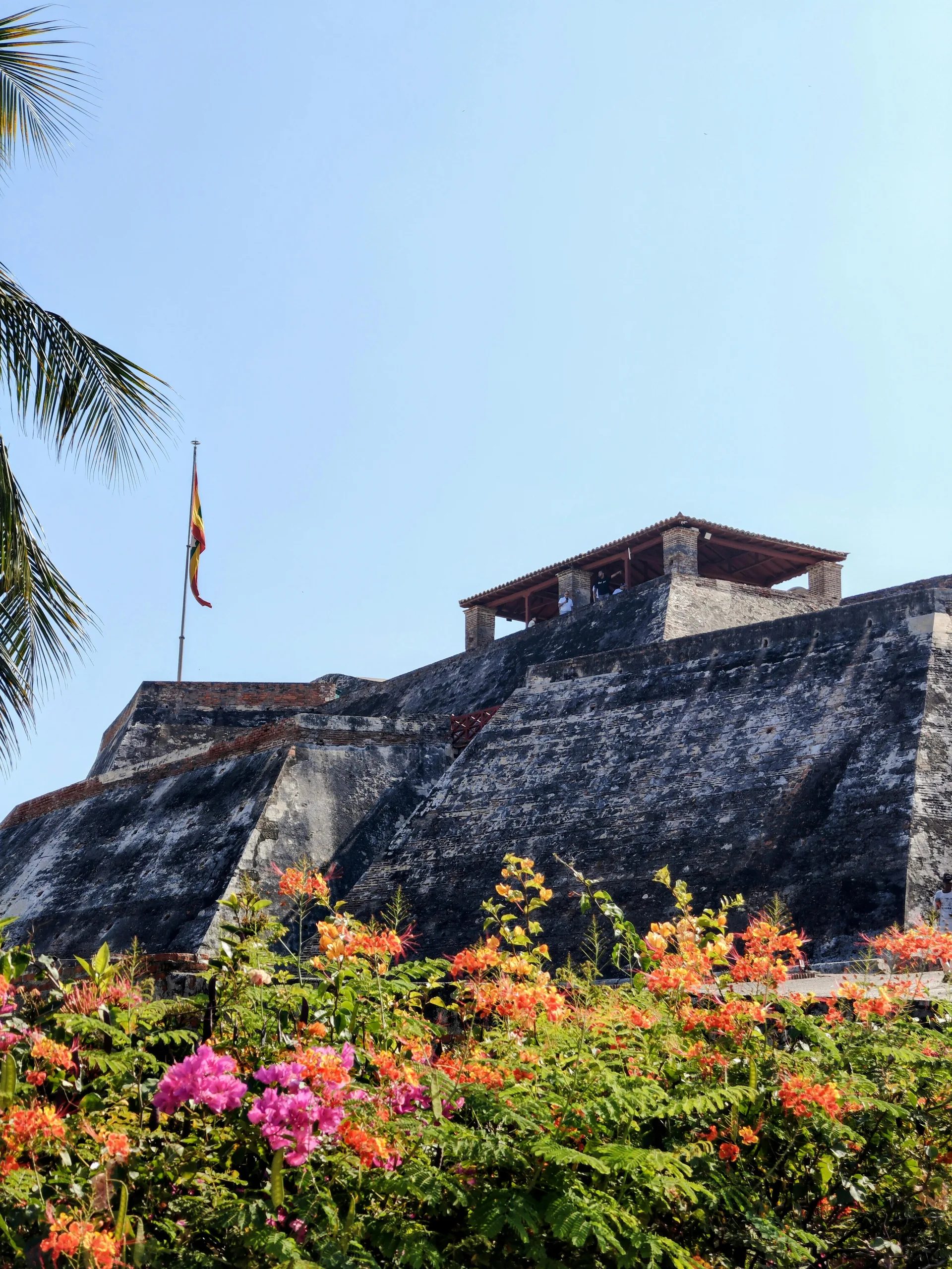 Castillo San Felipe de Barajas in Cartagena with flowers in the foreground