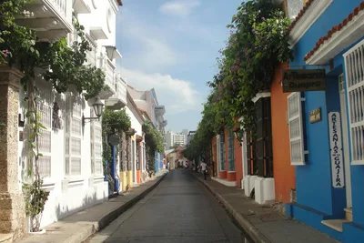Colorful colonial street in Cartagena with blooming vines and historical architecture.
